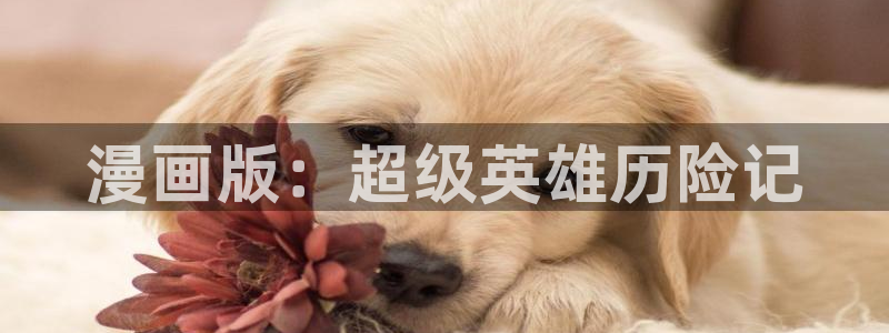 美丽新世界韩漫漫画免费阅读：漫画版：超级英雄历险记