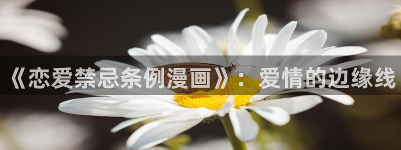 羞羞韩漫入口：《恋爱禁忌条例漫画》：爱情的边缘线