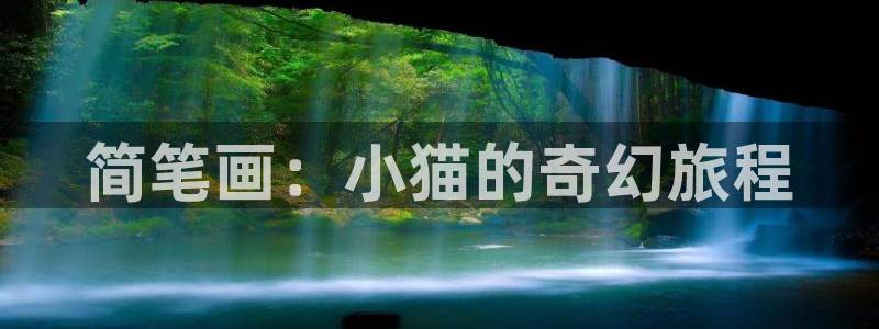 暴夜韩漫原著漫画在哪里看：简笔画：小猫的奇幻旅程