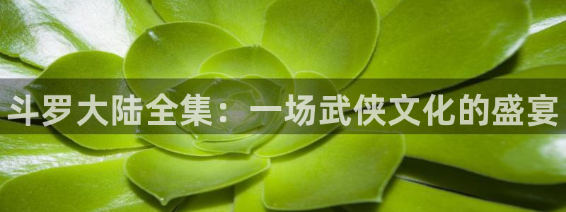 韩漫私宅女主人漫画：斗罗大陆全集：一场武侠文化的盛宴