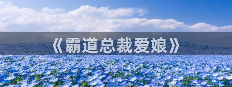 日韩漫画免费观看在线：《霸道总裁爱娘》