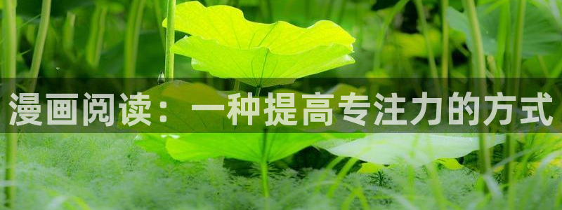 黄韩漫网址：漫画阅读：一种提高专注力的方式