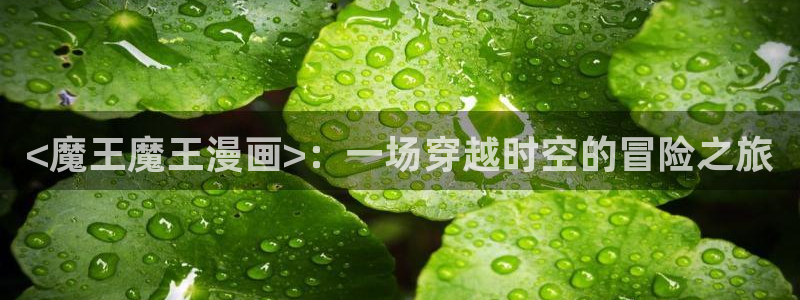 夜日韩漫：<魔王魔王漫画>：一场穿越时空的冒险之旅