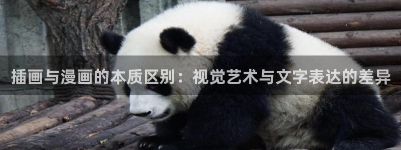 和平之上韩漫在线观看：插画与漫画的本质区别：视觉艺术与文字表达的差异