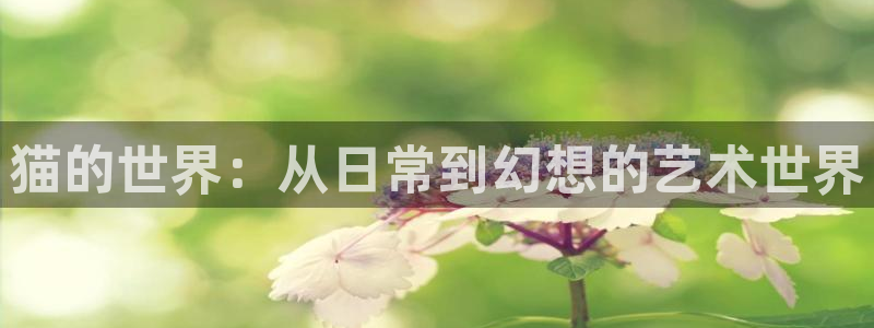 漫画免费韩漫无删减
