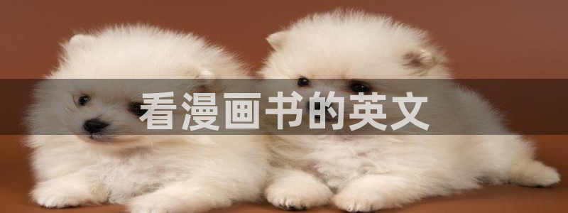 百合韩漫网站