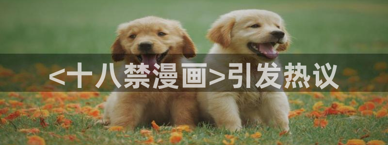 韩漫漫画画免费画漫画大全