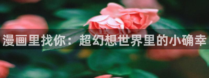 看韩漫日漫的网站